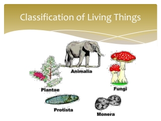 Classification of Living Things