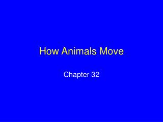 How Animals Move
