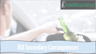 DUI Secondary Consequences