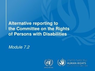 Alternative reporting to the Committee on the Rights of Persons with Disabilities