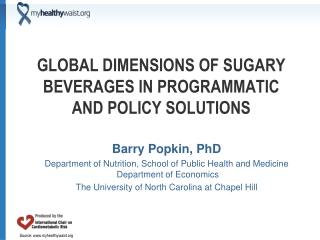 Global Dimensions of Sugary Beverages in Programmatic and Policy Solutions