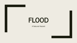 Flood