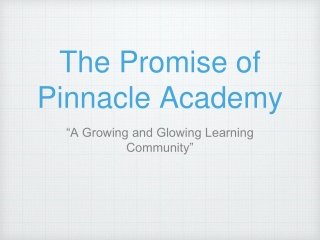 The Promise of Pinnacle Academy