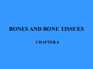 BONES AND BONE TISSUES