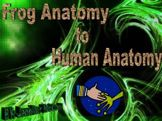 Human Anatomy