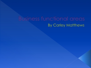 Business functional areas