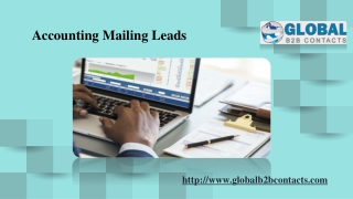 Accounting Mailing Leads