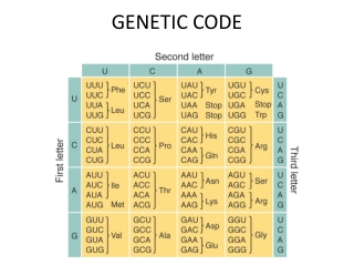 GENETIC CODE