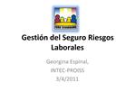 Gesti n del Seguro Riesgos Laborales