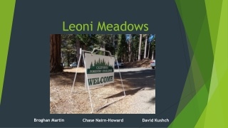 Leoni Meadows