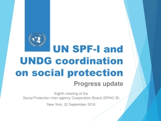 UN SPF-I and UNDG coordination on social protection