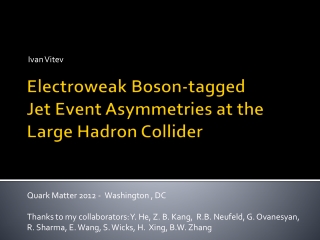Electroweak Boson -tagged Jet E vent A symmetries at the Large Hadron Collider