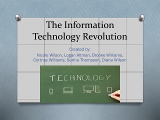 The Information Technology Revolution