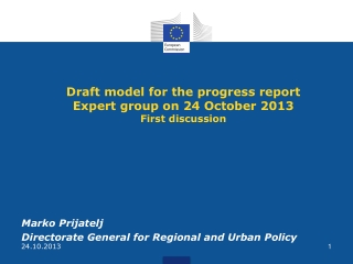 D raft model for the progress report Expert group on 24 October 2013 First discussion