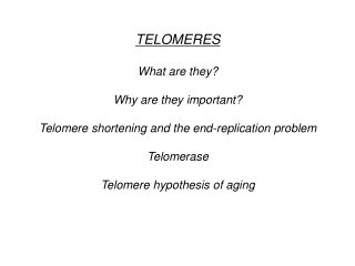 TELOMERES What are they? Why are they important?