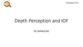 Depth Perception and IOF