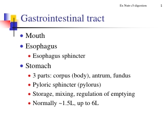 Gastrointestinal tract