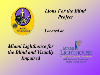 Lions For the Blind Project