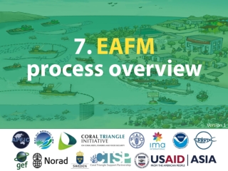 7. EAFM process overview