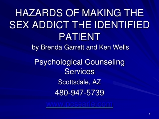 HAZARDS OF MAKING THE SEX ADDICT THE IDENTIFIED PATIENT by Brenda Garrett and Ken Wells