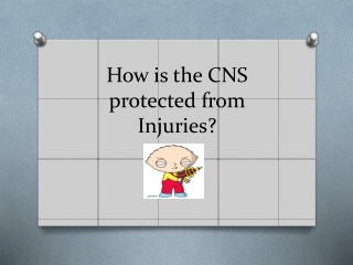 How is the CNS protected from Injuries?