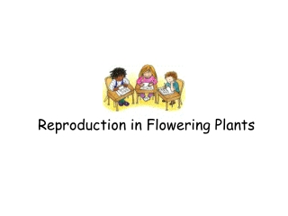 Reproduction in Flowering Plants