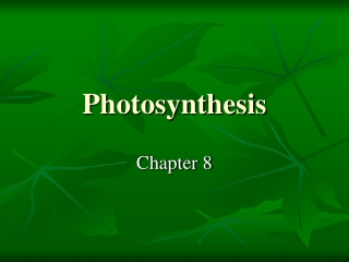 Photosynthesis