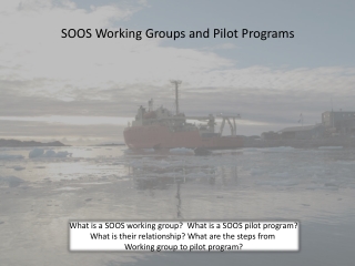 SOOS Working Groups and Pilot Programs