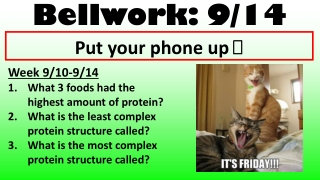 Bellwork: 9/14