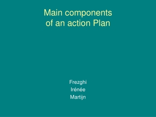 Main components of an action Plan