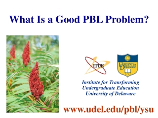 What Is a Good PBL Problem?