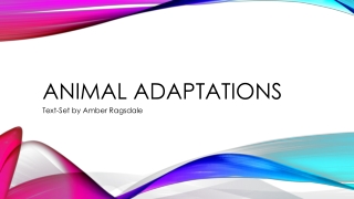 Animal Adaptations