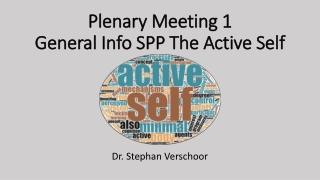 Plenary Meeting 1 General Info SPP The Active Self