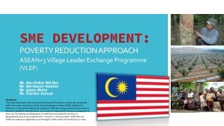 SME DEVELOPMENT: POVERTY REDUCTION APPROACH