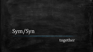 Sym / Syn