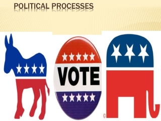 Political Processes