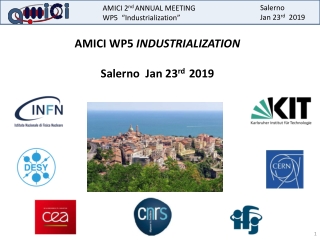 AMICI WP5 INDUSTRIALIZATION Salerno Jan 23 rd 2019