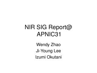 NIR SIG Report@ APNIC31