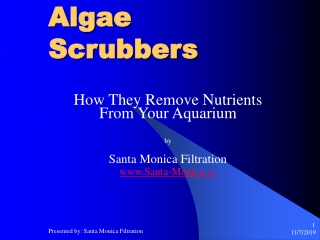 Algae Scrubbers