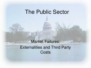 The Public Sector