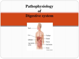 Pathophysiology of Digestive system