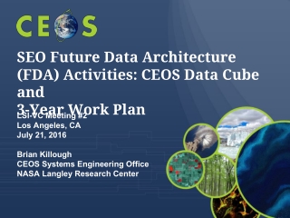 SEO Future Data Architecture (FDA) Activities: CEOS Data Cube and 3-Year Work Plan