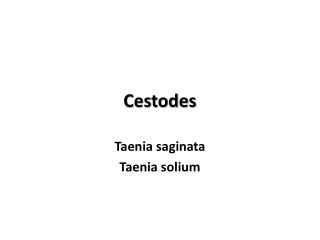 Cestodes