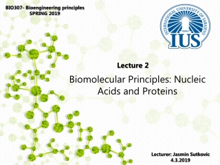 BIO307- Bioengineering principles SPRING 2019