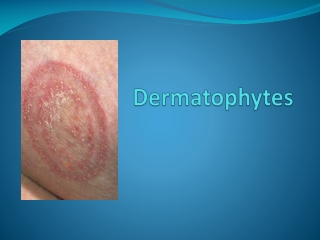 Dermatophytes