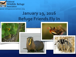 January 19, 2016 Refuge Friends Fly In