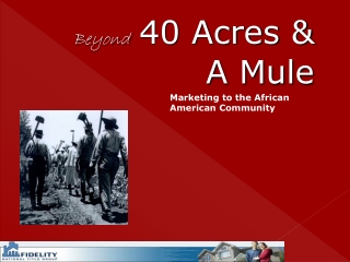 Beyond 40 Acres &amp; A Mule