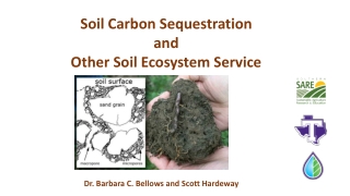 Soil Carbon Sequestration and Other Soil Ecosystem Service
