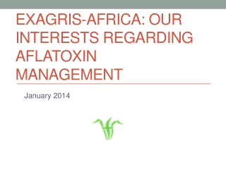 EXAGRIS-AFRICA: our interests regarding aflatoxin management