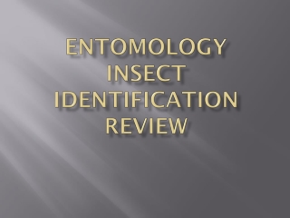 Entomology Insect Identification Review